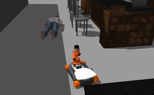 Robot and Victim model in simulation Environment
